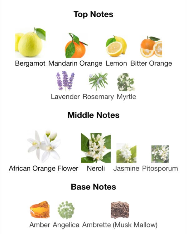Neroli portofino (Perfume)