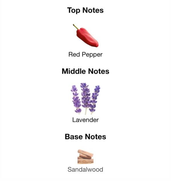 The Scent Elixir (Perfume)