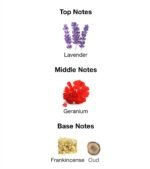 Y Elixir (Perfume)