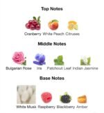 Musky garden (Perfume)