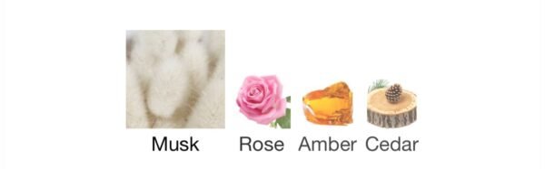 Amber musc ajm (Attar)