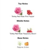Rose of no man land (Perfume)