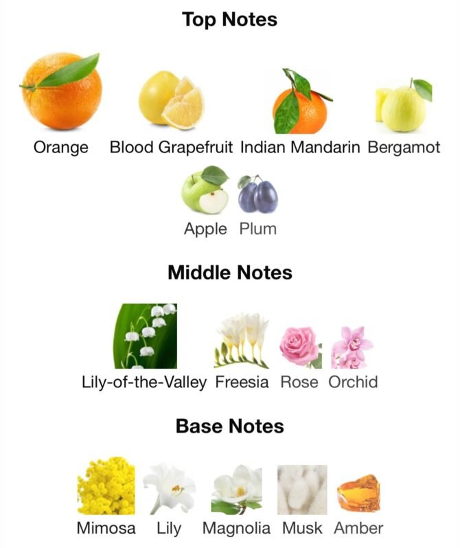 Happy cliniq pour fem (Loose Attar Fragrance) - Image 6