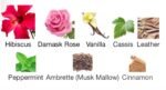 Hibiscus mahaja (Perfume)