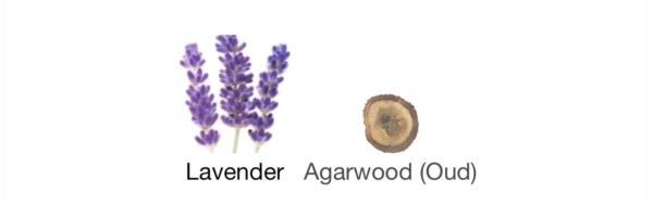 Oud lavender Rasasi (Attar)