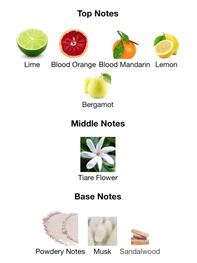 city of stars (Loose Perfume Fragrance) - Image 6
