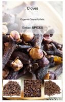 Clove fragrance oil (Attar)