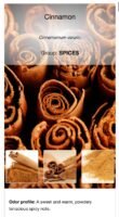 Cinnamon fragrance oil (Perfume)