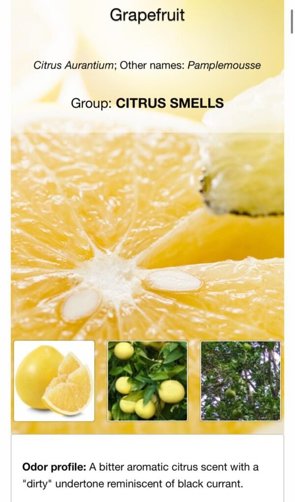 Grapefruit fragrance (Perfume)