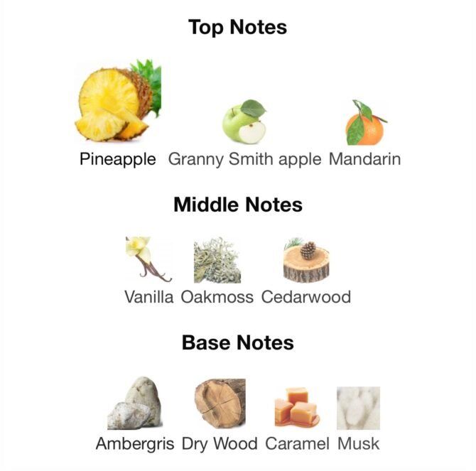 Rebel (Loose Attar Fragrance) - Image 6
