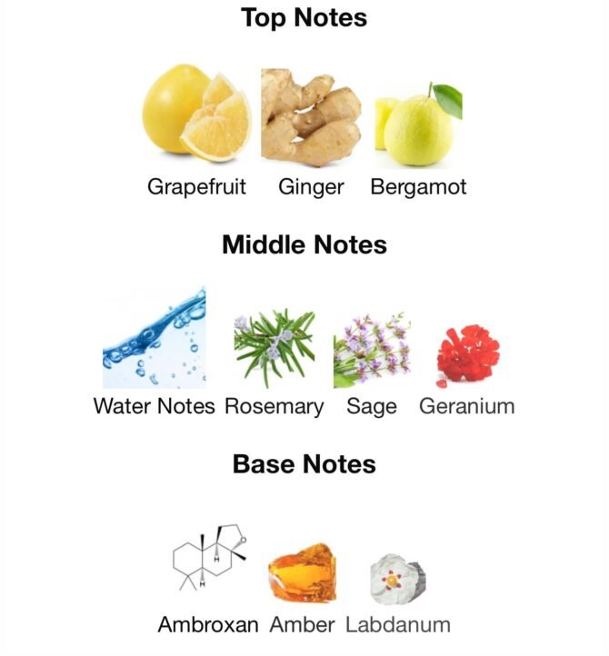 Immensite super (Loose Perfume Fragrance) - Image 6