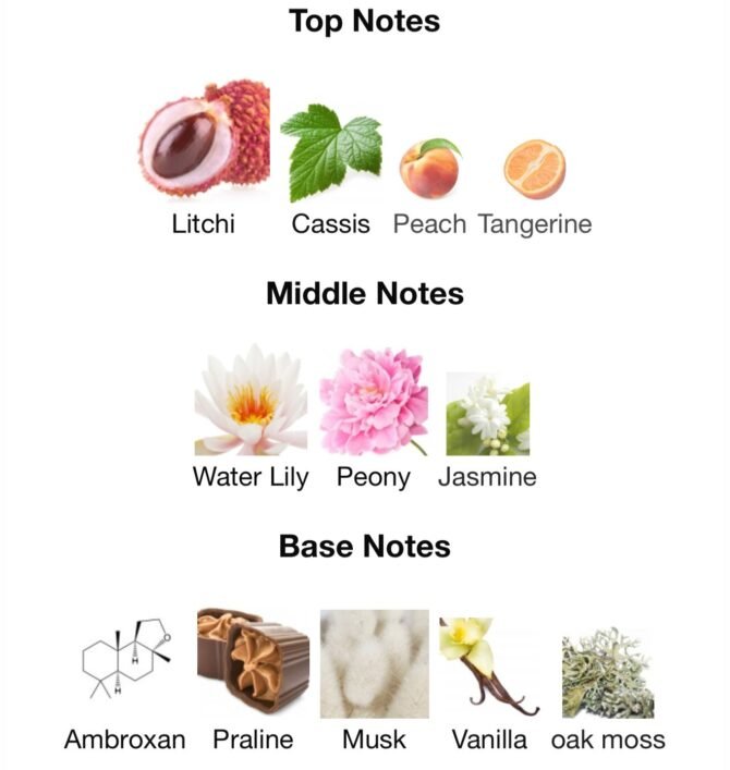 Greenwich village (Loose Attar Fragrance) - Image 6