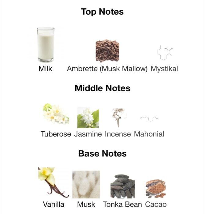 Blanche bete (Loose Attar Fragrance) - Image 6