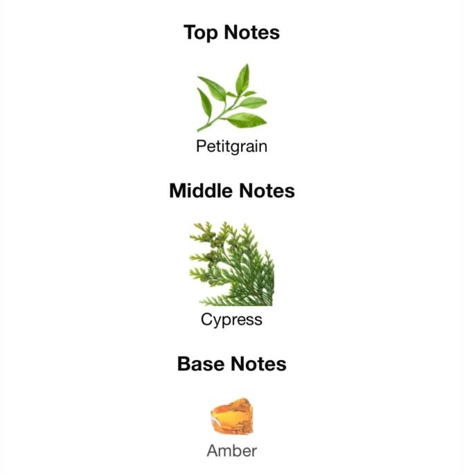 Clive art deco cypress XX1(Loose Attar Fragrance) - Image 6