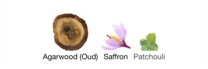 Voice of snake (Loose Attar Fragrance) - Image 6