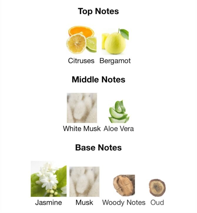 Emarat al Arab (Loose Attar Fragrance) - Image 6