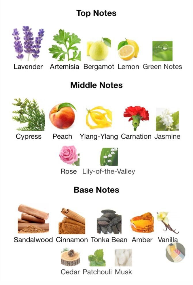 Ricci club (Loose Attar Fragrance) - Image 6