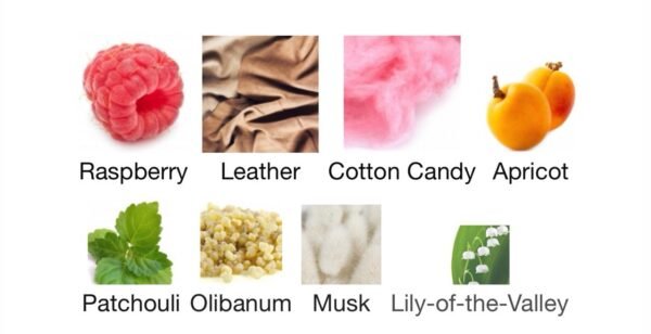 Shisha (Perfume)