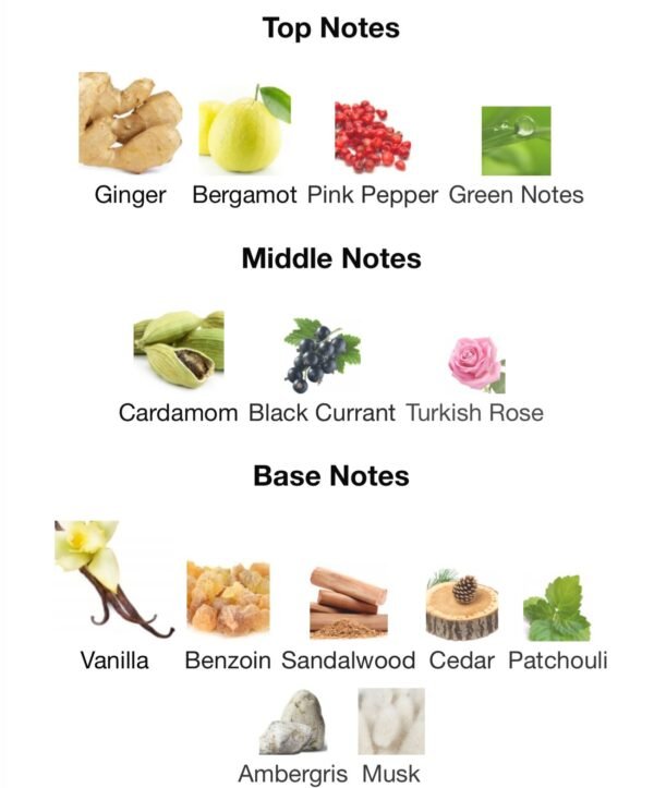 ANI eco Nishan (Attar)