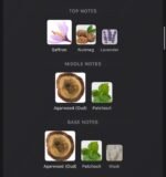 Glory Oud pack
