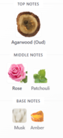 Woody oud perfume pack